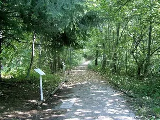 Ботаническа алея за незрящи - Витоша