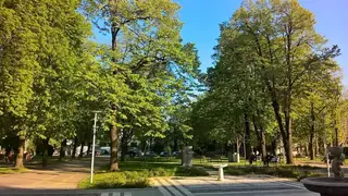 Парк "Рова" - Видин