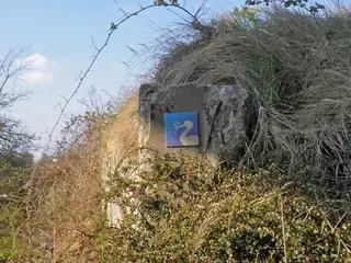 Защитена местност "Дренето"