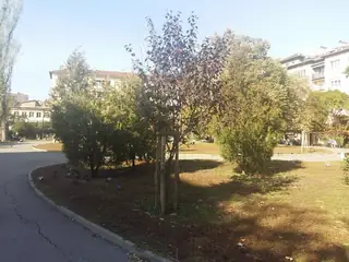 Градина Ереван - София