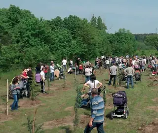 "Алея на новия живот" - Димитровград