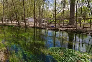 Девненските извори