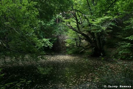 Езеро "Гьолчето"