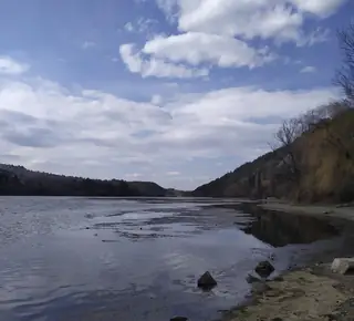 „Зарибено езеро“ (Рибарник Панчарево) – платен риболов до Панчаревското езеро, София