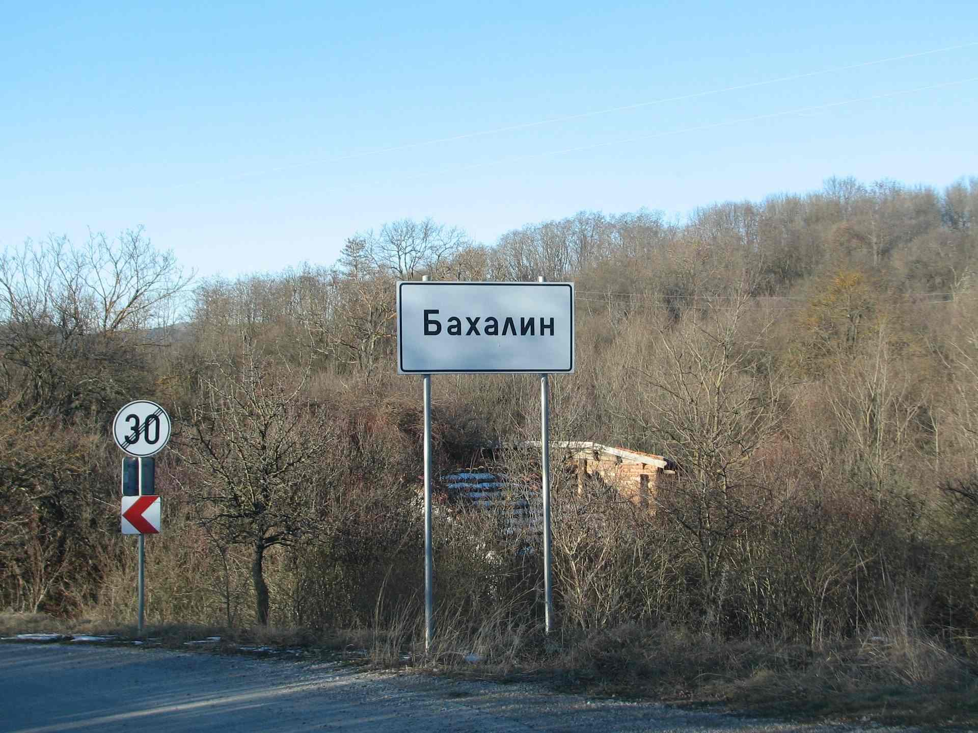 Бахалин