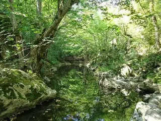 Младежка река