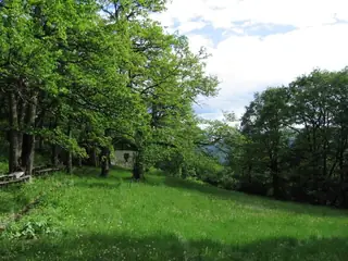 Природна забележителност "Янковец"