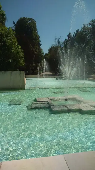 Фонтана с делфините - Търговище