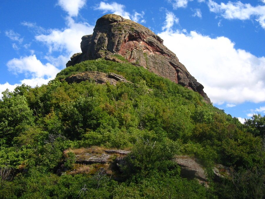 Защитена местност "Сто овци"