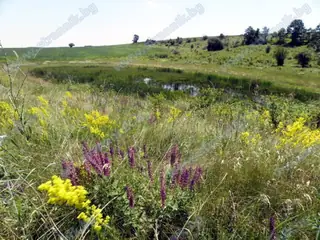 Езеро Доцовата бара - Деветаки