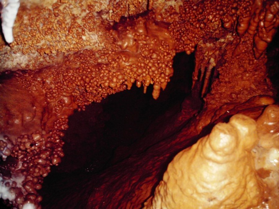 Пещера "Еловица"