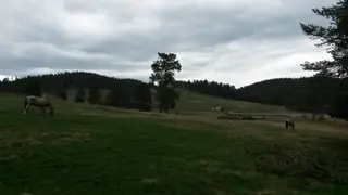 Хижа "Лисичево"