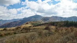 Караджов камък