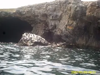 Тюленовата пещера - Тюленово