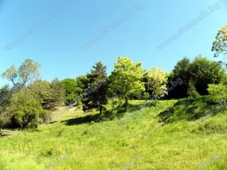 Крепост Алинско кале - Алино