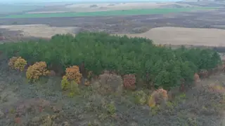 Светилище на "Зевс Сабазий" - с.Яворово