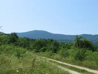 Връх Острома