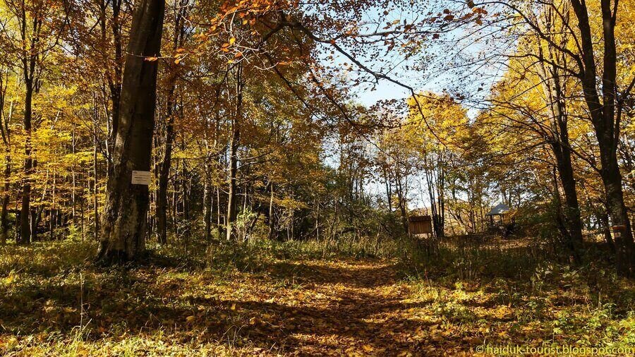 Природна забележителност "Виканата скала"