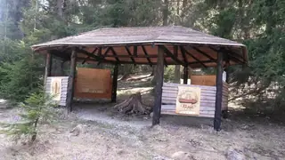 Познавателен маршрут "Музей на гората"