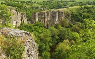 Каньонът на река Каменица