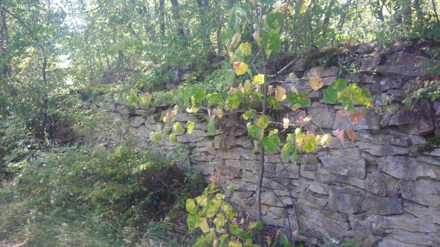 Крепост "Градът" - Дряновски манастир