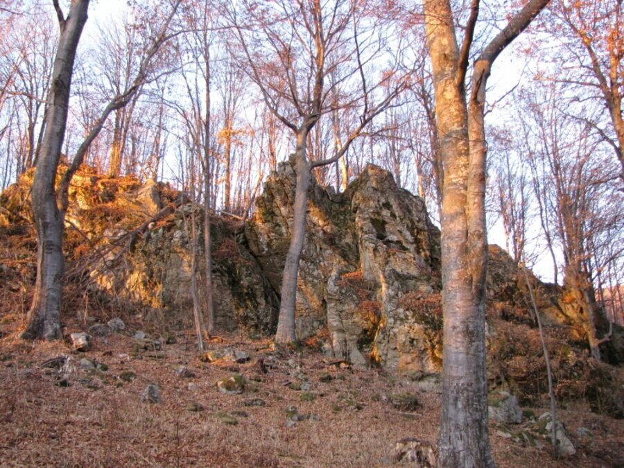 Крепост "Шешикинград" - Твърдица