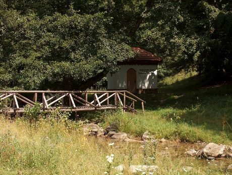 Mестност "Паниците"