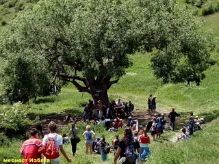 Маршрут "Ботев път - гр. Враца - м. Йолковица - вр. Околчица"