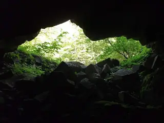 Пещера Маноилова дупка - с.Рибново