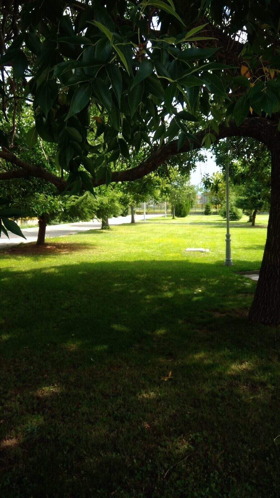 Градски парк - Гурково