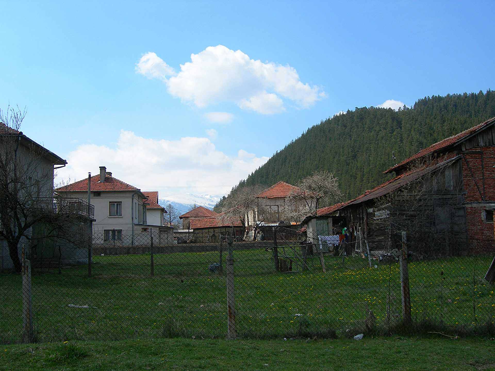 Говедарци