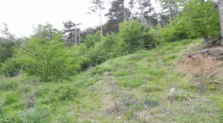 Тракийска Крепост - Шипка