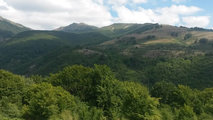 Екопътека "Царичина"