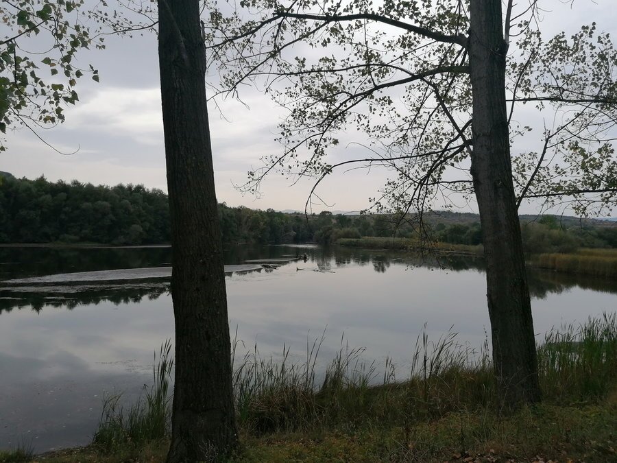 Парк край Езерото - Лесичoво