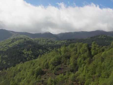 Защитена местност Гюмюрджински снежник