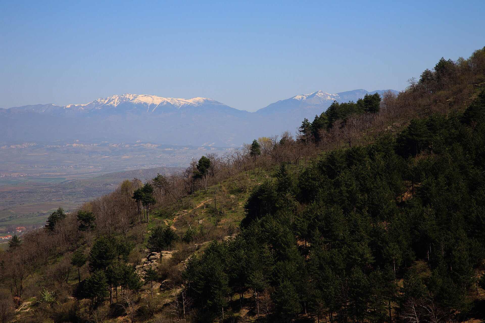 Попови ливади