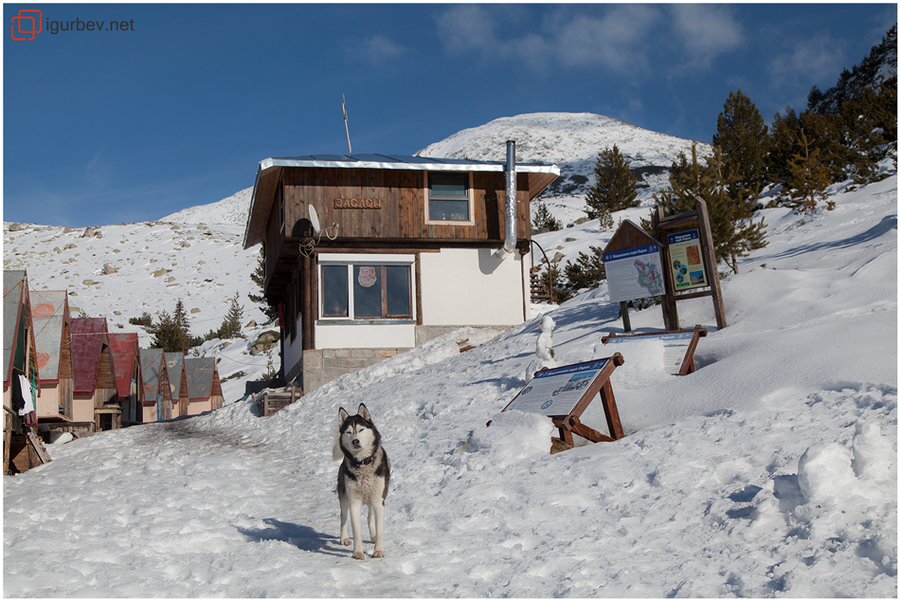 Заслон Спано поле - Пирин
