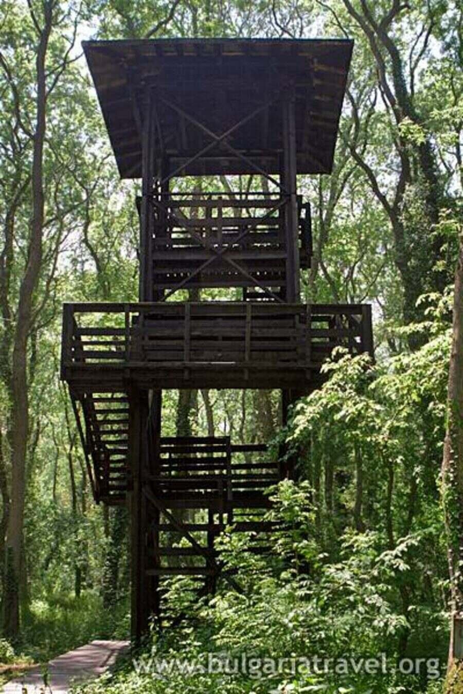 Поддържан резерват "Балтата"