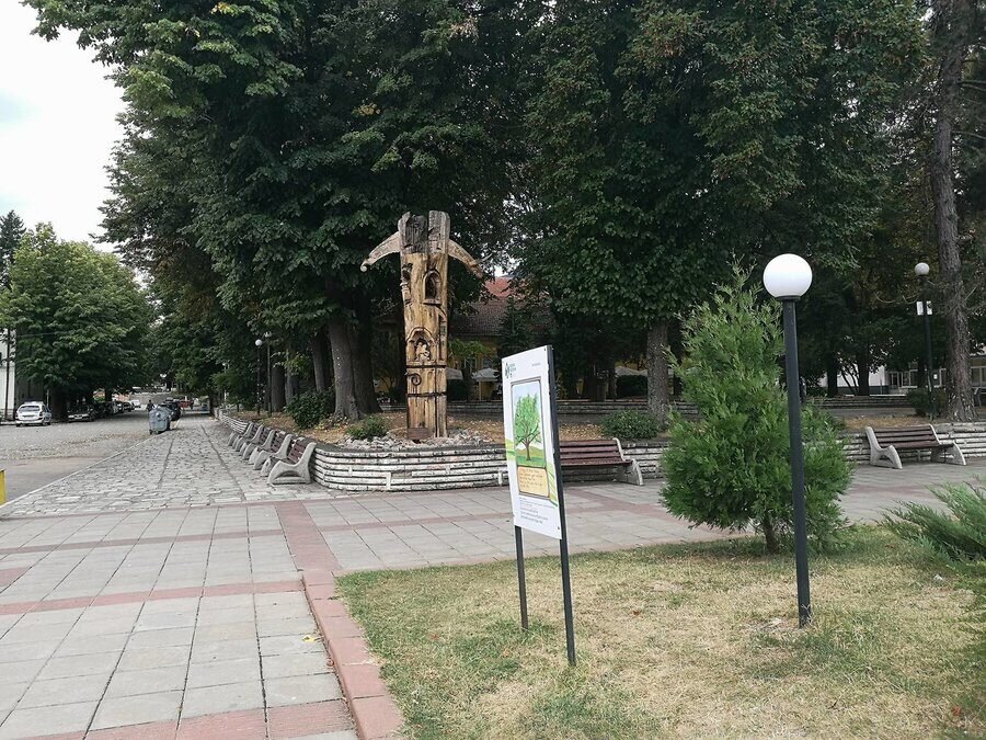 Дървото на живота - Берковица