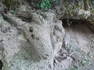 "Скалното стадо" - Сливен