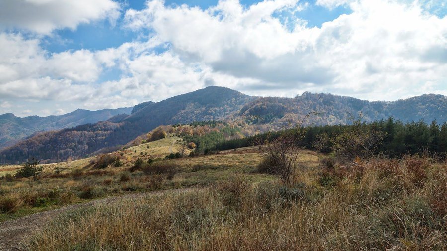 Караджов камък