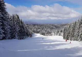 Ски писта Ветровала