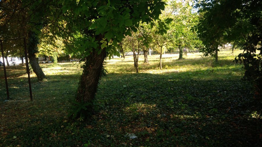 Парк - с.Желю войвода