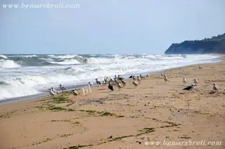 Плаж Кара дере