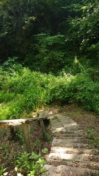 Защитена местност "Река Веселина"