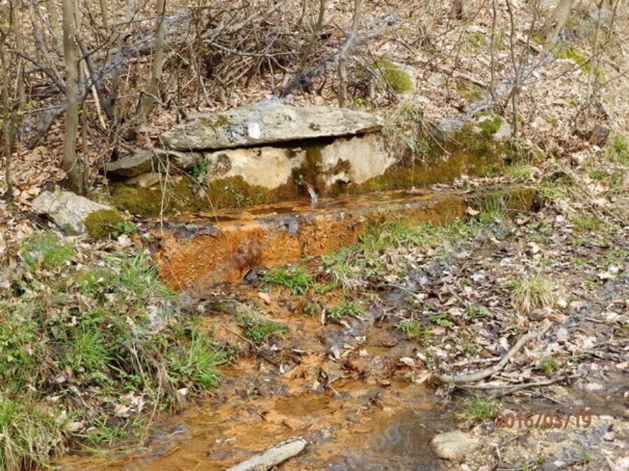 Чешма Жълтата вода - Свежен