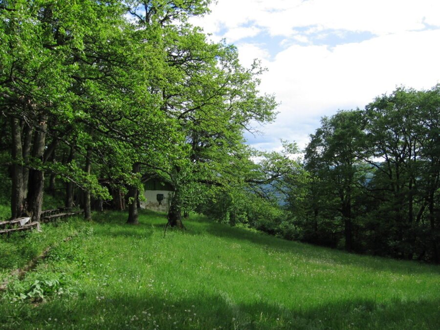 Природна забележителност "Янковец"