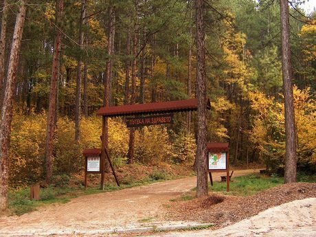 Екопътека "Пътека на здравето" - Банкя