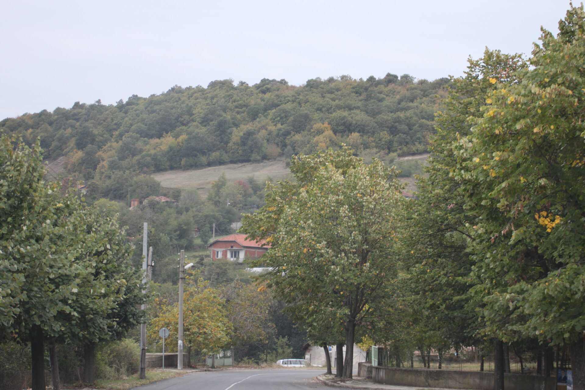 Бели пласт