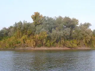Остров Алеко - р. Дунав